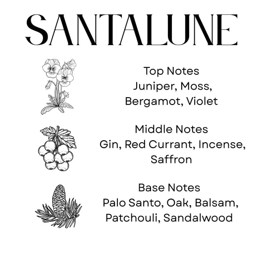 Sanctuarium Santalune Candle | Noir Collection 8.5 oz