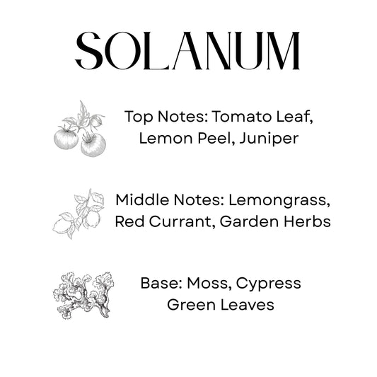 Sanctuarium SOLANUM Candle | Luna Collection 8.5 oz