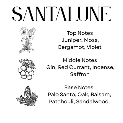Sanctuarium Santalune Candle | Noir Collection 8.5 oz