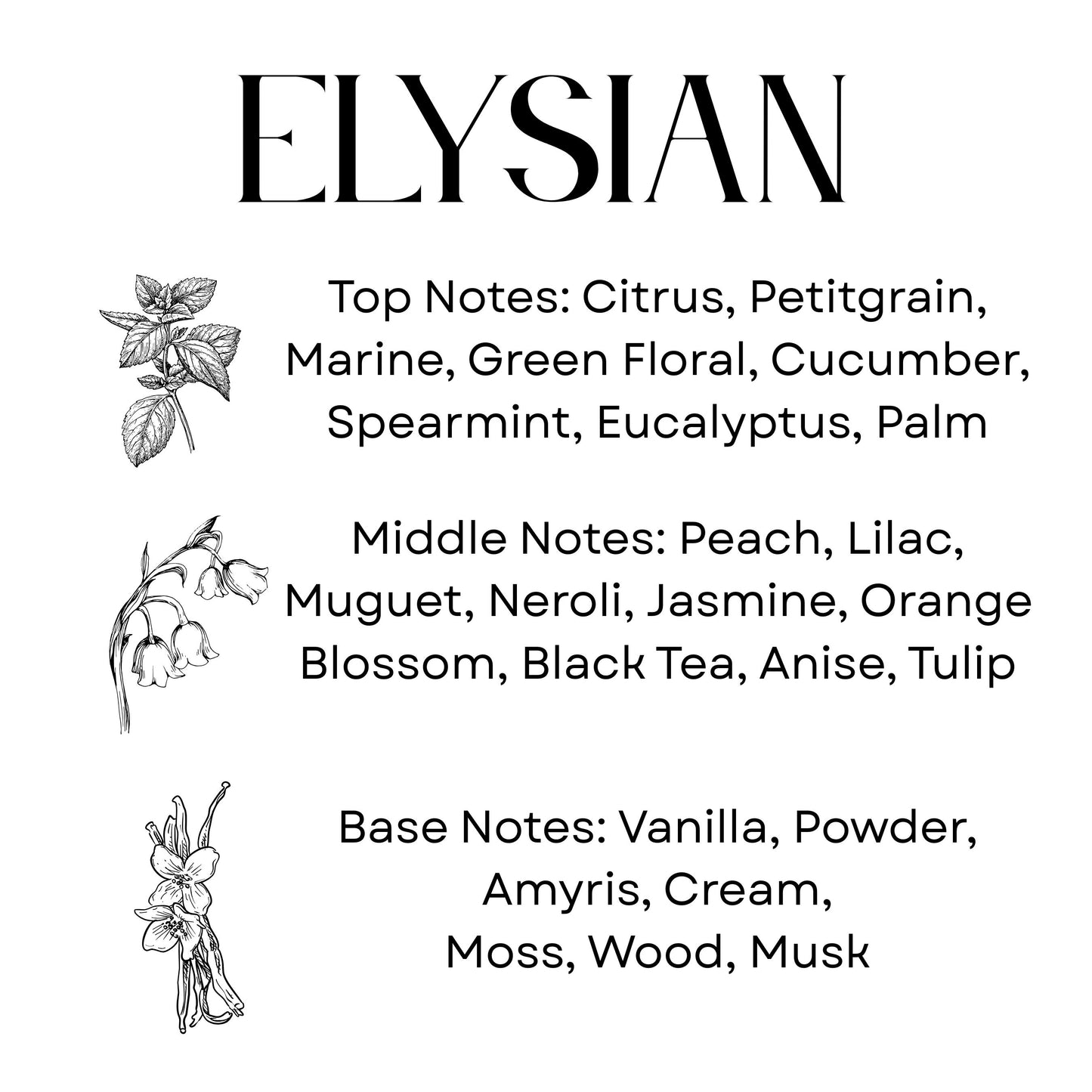 Sanctuarium ELYSIAN Candle | Luna Collection 8.5 oz